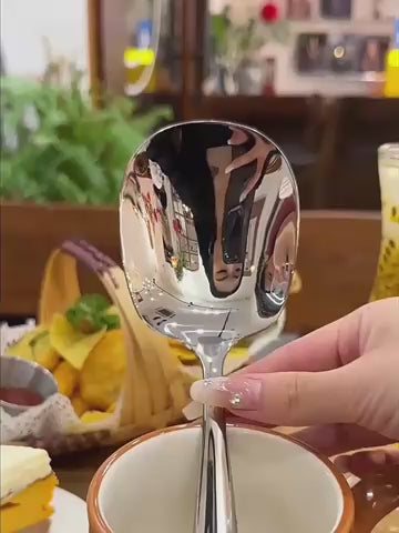 Stainless Steel Serving Spoon
